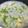 Vince 的 清澈香芹蘿蔔排骨湯/超簡單電鍋煮湯料理 cooksnap