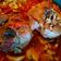 Cooksnap de Viktoria sur la recette Osso bucco de dinde aux tomates et champignons