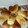El cooksnap de "Cocina con Celi" cuando hizo Mini bollicaos.