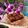 Cooksnap của QUÂN NGUYỄN khi họ làm theo món Nama chocolate