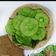 Cooksnap dari farida Sulthan 🇮🇩 (IG. Malika02782) untuk resep Kue Cucur Pandan Empuk beserta tips pembuatan