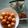 Cooksnap Rose Nani Nizah Nayan semasa beliau membuat Cucur Jagung Lemak Manis.