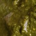 Vineeta का कुकस्नैप जब उन्होंने हरी चटनी (hari chutney recipe in Hindi) बनाया था।