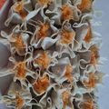 Cooksnap dari dini irfani untuk resep Dimsum ayam udang