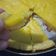Cooksnap dari Frisky untuk resep Pie Susu Coklat (Teflon)