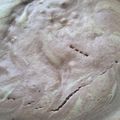 Cooksnap dari Novi Yanti untuk resep Bolu kacang hijau kukus