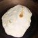 El cooksnap de Eldannar Amatista cuando hizo Pan Pita (árabe) Apto VEGGIE / APLV.