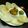 Keya Mandal's cooksnap of when they made লুচি ও ফুলকপির রোস্ট (luchi o fulkopir roast recipe in Bengali).