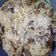 Cooksnap dari Dee fisti untuk resep Nasi Kebuli Ayam Rice Cooker
