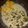 El cooksnap de sofia_4343_dvm cuando hizo Pollo al verdeo con papas.