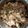 Cooksnap dari Aidea Smile untuk resep Mun Tofu Ayam