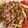El cooksnap de astrid badia cuando hizo Ensalada tricolor con bacon.