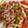 El cooksnap de astrid badia cuando hizo Ensalada tricolor con bacon.