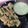 Sonal Modha's cooksnap of when they made ભગર નાં ઢોકળા (Barnyard Millet Dhokla Recipe in Gujarati).