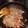 El cooksnap de Paulie Vera cuando hizo Wok pollo, vegetales con fideos especial!.