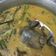 Cooksnap dari Mrs. Nay untuk resep Gulai Kepala Kakap