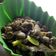 Cooksnap dari Risa Aprilia Berliani untuk resep Kerang hijau kuah kuning