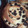 El cooksnap de Karina Andrea Agüero de Aubone cuando hizo Pan dulce casero con miel y frutos secos.