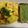 Sneha Patel's cooksnap of when they made ગુજરાતના લાઈવ ઢોકળા (Live Dhokla Recipe In Gujarati).