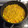 El cooksnap de Merche Bravo cuando hizo Fideuá fácil con calamares.