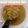 Rita Mehta ( Executive chef )'s cooksnap of when they made Bottle gourd sabzi.