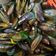 Cooksnap dari Nanik Sulistiyowati untuk resep Kerang Hijau Saus Padang