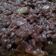 El cooksnap de Mariano Pondal cuando hizo Risotto de chorizo y vino tinto.
