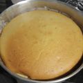 El cooksnap de Pato Filgueiras cuando hizo Torta de limón 🍋 (sin huevo, sin manteca y sin leche) 👀 👏👏👏.