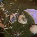 Cooksnap dari Rani Kecill untuk resep Balakutak Bumbu Hitam