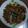 黃裕彬 的 (影音) 蔥爆豬肉 cooksnap