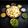 Mamta Pandya's cooksnap of when they made પાણી પૂરી (Panipuri Recipe In Gujarati).