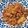 รูป Cooksnap ของ U-thaitip Jaijingjit เมื่อเขาทำ หมูผัดกิมจิ