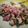 Michael Fairless's cooksnap of when they made Pork Chops.