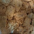 Cooksnap dari Indriyanti Retnowulan untuk resep Keripik tempe renyah