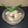 Cooksnap dari yanti sutanto untuk resep Manisan Salak Simpel