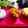 Cooksnap dari Mama Ipang untuk resep Donut clasic
