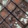 Cooksnap dari dianr untuk resep Fudgy Shiny Crust Brownies
