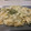 Michael Fulton's cooksnap of when they made RP's Chicken Broccoli Alfredo With Penne Pasta.