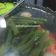 Cooksnap dari First's Kitchen untuk resep Sayur Asem GPL