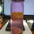 Cooksnap dari Inoongky untuk resep Infused Water
