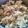 Selvapriya's cooksnap of when they made பாஸ்மதி நெய் சோறு(nei soru recipe in tamil).