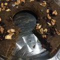 El cooksnap de Carina Marcuzzi cuando hizo Budín fit de avena y algarroba.