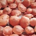 Dhara का कुकस्नैप जब उन्होंने पानी पूरी (pani poori recipe in Hindi) बनाया था।