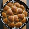 il Fra nci quando ha preparato Panini all'olio con Moulinex cousin companion