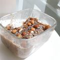 El cooksnap de Santiago Vergara becerra cuando hizo Quinoa con leche de almendras.