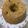 El cooksnap de Walter Parula cuando hizo Rosca de Pascuas. Rellena de frutas y frutos secos.