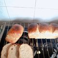Cooksnap của kim yến khi họ làm theo món Bánh mì mật ong nguyên cám (whole wheat bread 50%)