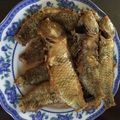 Cooksnap của Lê Hồ khi họ làm theo món Cá mó chiên giòn