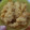 Cooksnap dari Syafira untuk resep Cornflakes Butter Cookies