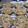 cmelgoza's cooksnap of when they made Ultimate Chocolate Chip Cookies.